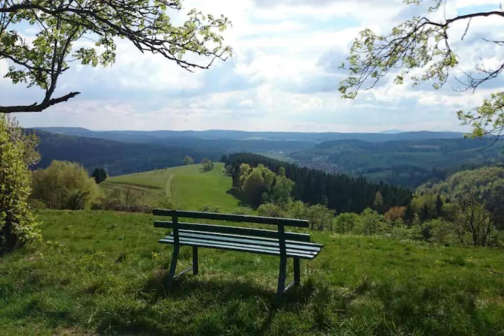 Ruhiges Ferienhaus Mit Sauna: Hellaberg III Langenbach  外观 照片